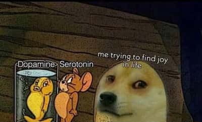Doge meme trying to find joy no dopamine serotonin