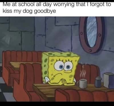 Spongebob waiting meme student anxious over forgetting dog goodbye kiss