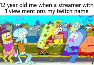 Spongebob yelling meme kid excited small streamer name shout