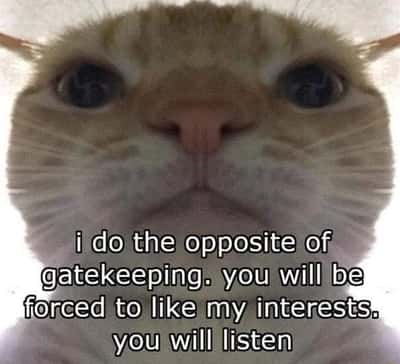 Staring cat meme reverse gatekeeping forcing others to share hobbies