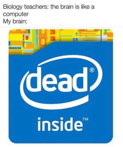 Dead inside intel meme shows my brain is dead when biology teacher says brain is like a computer