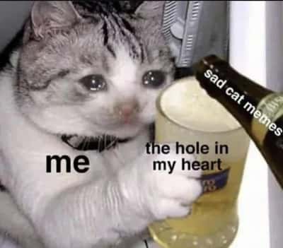 Crying cat meme pouring sad memes