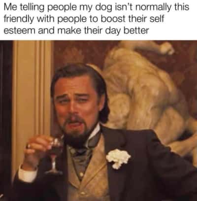 Leonardo dicaprio meme telling people his dog isn't normally friendly to boost their self esteem