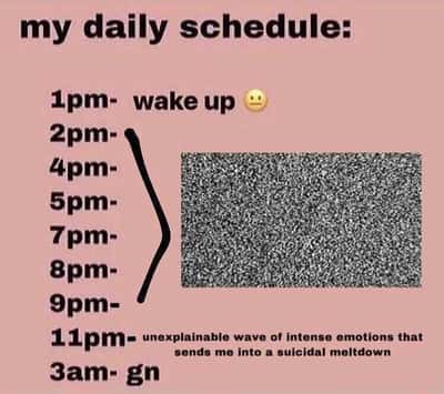Daily schedule meme doing nothing before late night meltdown