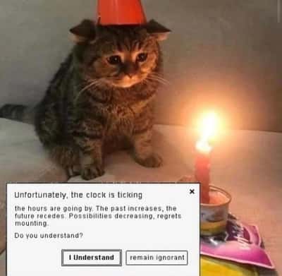 Birthday cat meme thinking clock is ticking