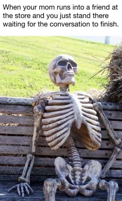 Waiting skeleton meme waiting for dystopian story romance plot