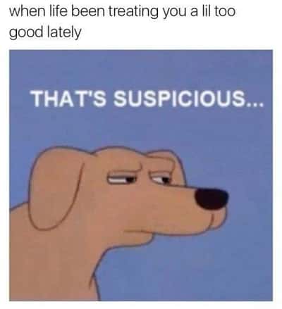 Suspicious dog meme suspects life being too good lately