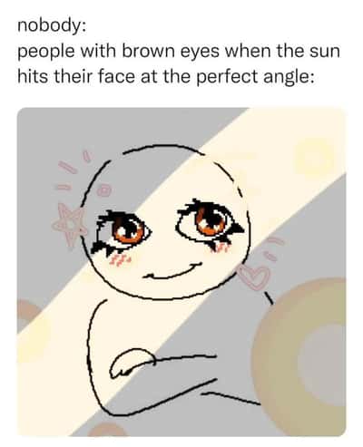 People with brown eyes meme glowing when sun hits face at perfect angle