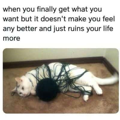 Defeated white cat meme tangled completely in the yarn ball it wanted to play with