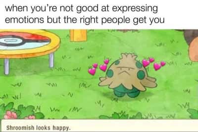 Shroomish meme looks happy when right people get you