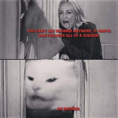 Woman yells are shining meme cat replying ok boomer retort