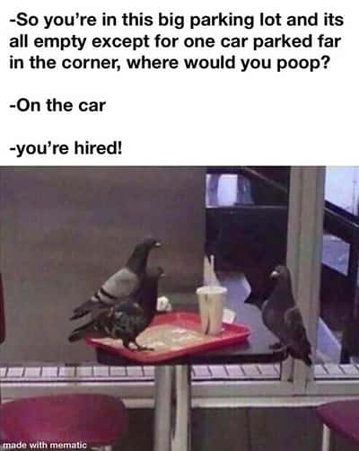 Random Memes
