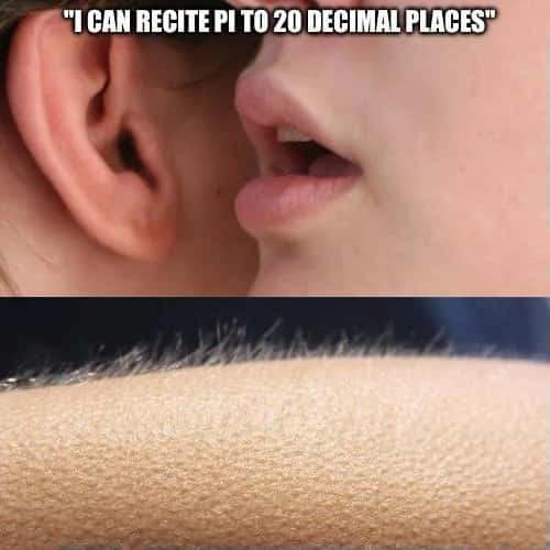 Whisper in Ear Goosebumps Meme: I can recite pi to 20 decimal places Whisper in Ear Goosebumps Meme: I can recite pi to 20 decimal places