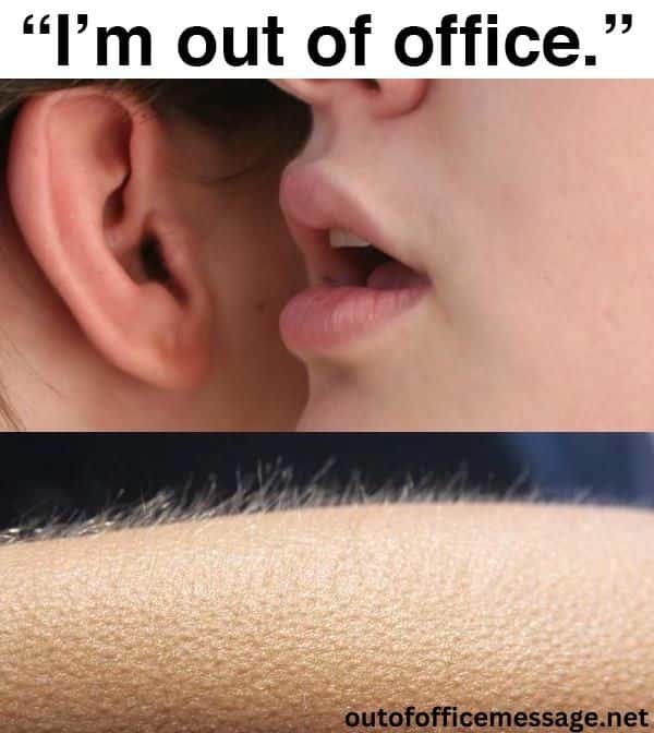 Whisper in Ear Goosebumps Meme: I'm out of office Whisper in Ear Goosebumps Meme: I'm out of office