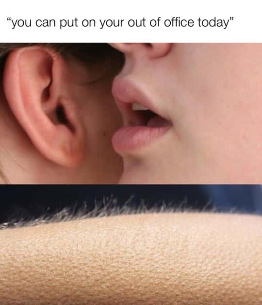 Whisper in Ear Goosebumps Meme: you can put on your out of office today Whisper in Ear Goosebumps Meme: you can put on your out of office today
