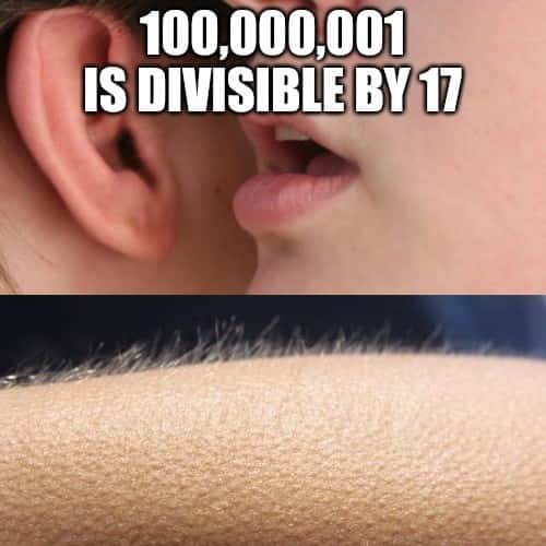 Whisper in Ear Goosebumps Meme: 100,000,001 is divisible by 17 Whisper in Ear Goosebumps Meme: 100,000,001 is divisible by 17