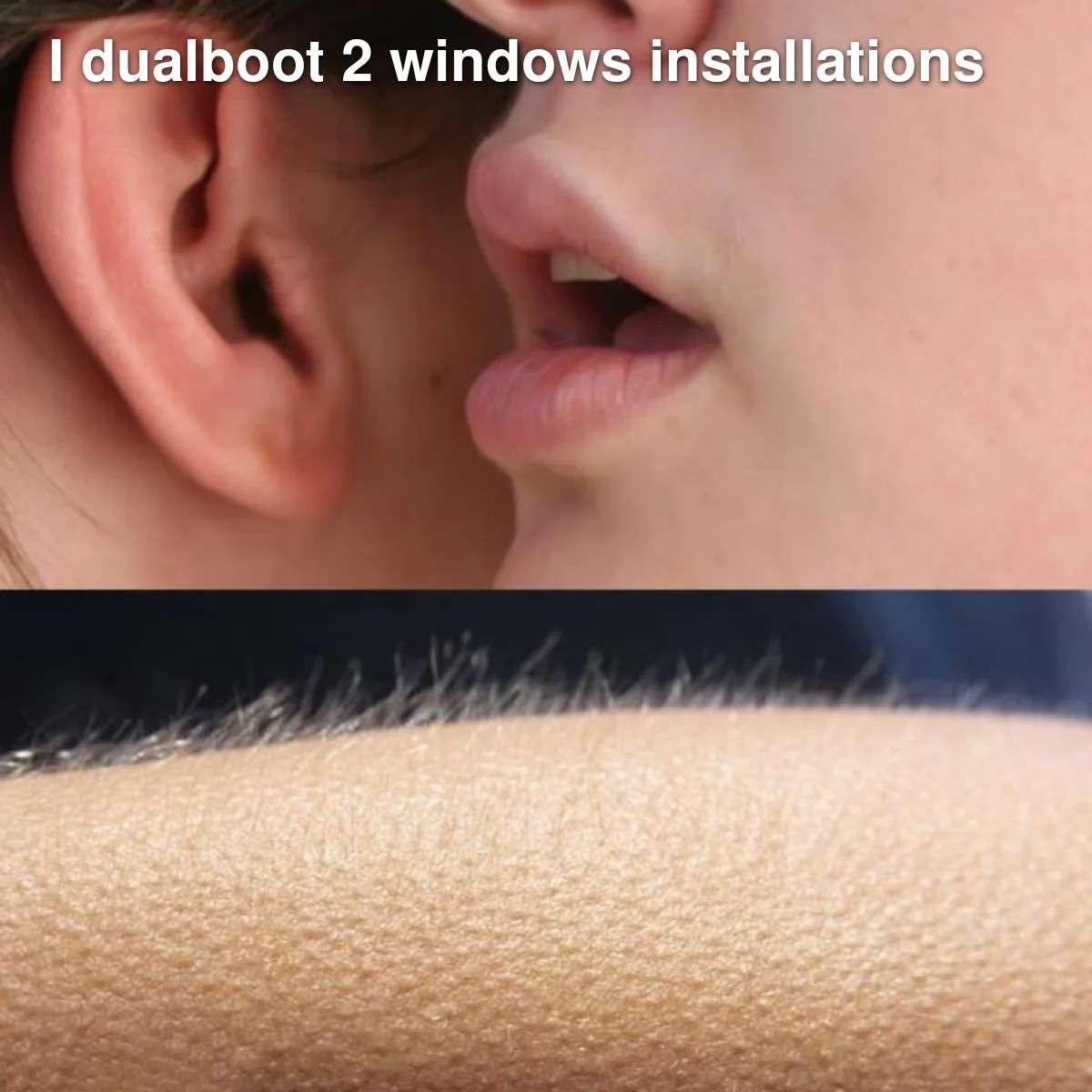 Whisper in Ear Goosebumps Meme: I dualboot 2 windows installations Whisper in Ear Goosebumps Meme: I dualboot 2 windows installations