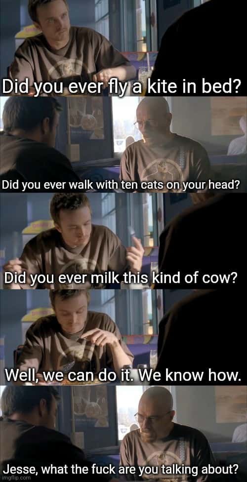 Jesse wtf are you talking about meme asking silly random questions