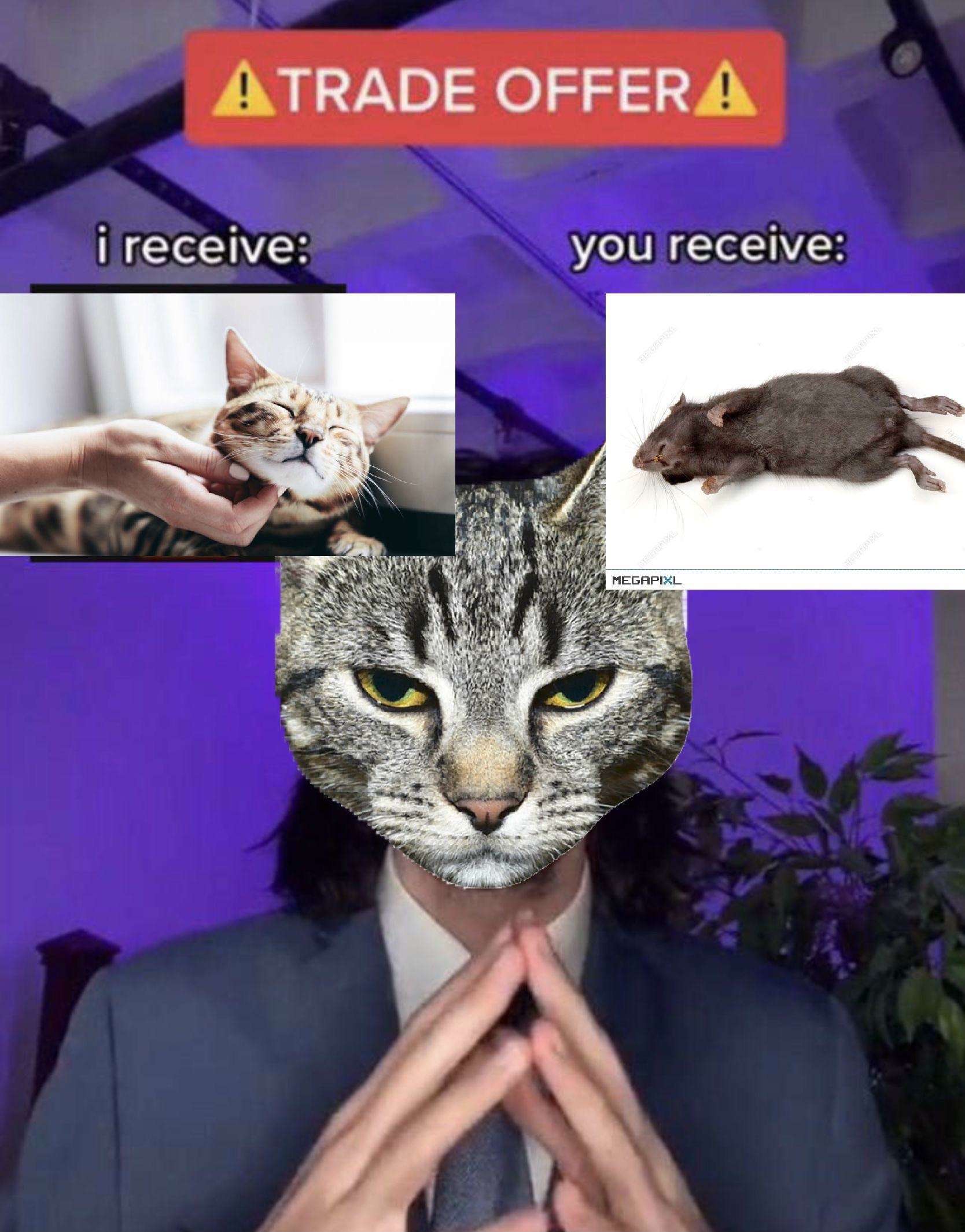 Cat trade offer meme pet cat for dead mouse prey