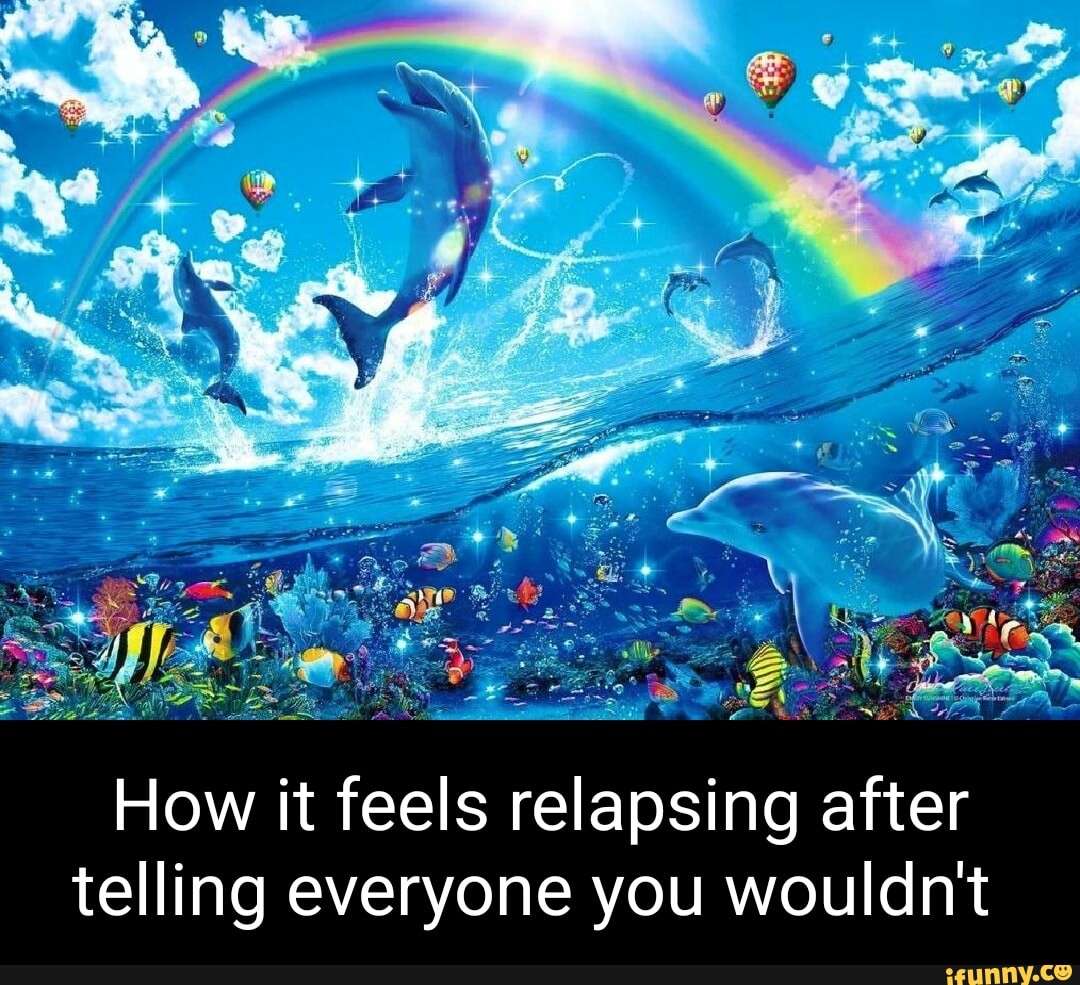 Rainbow dolphin meme relapsing after telling everyone you wouldn't