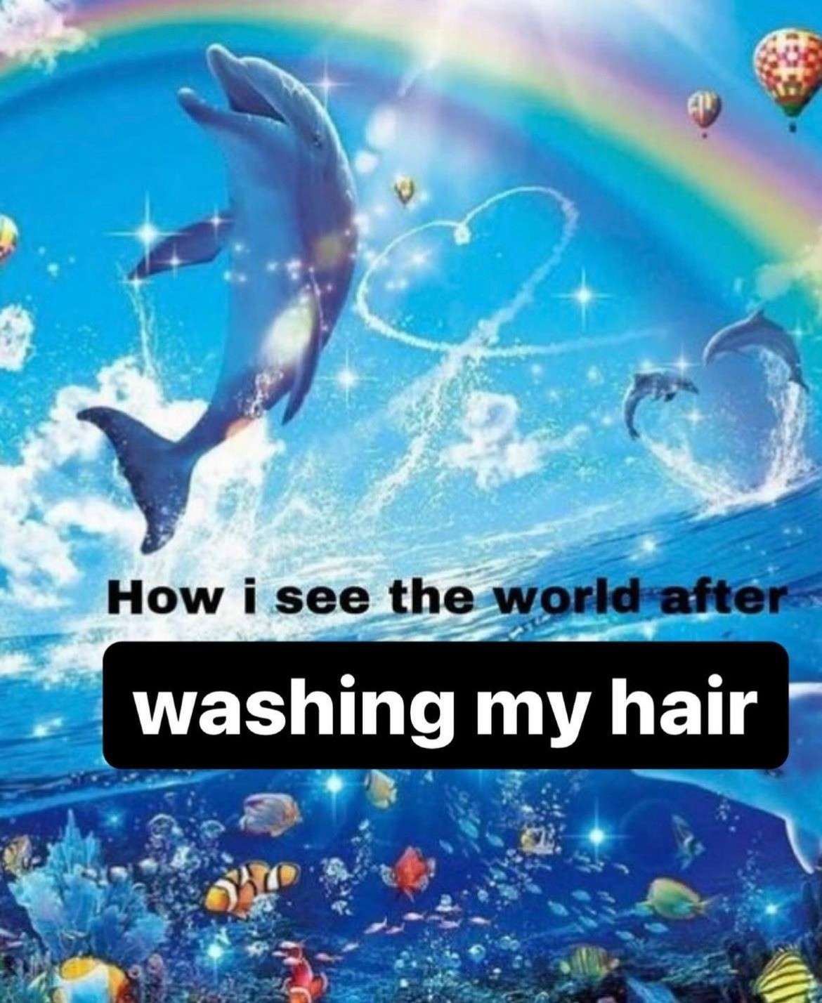 Rainbow dolphin meme seeing world after washing hair