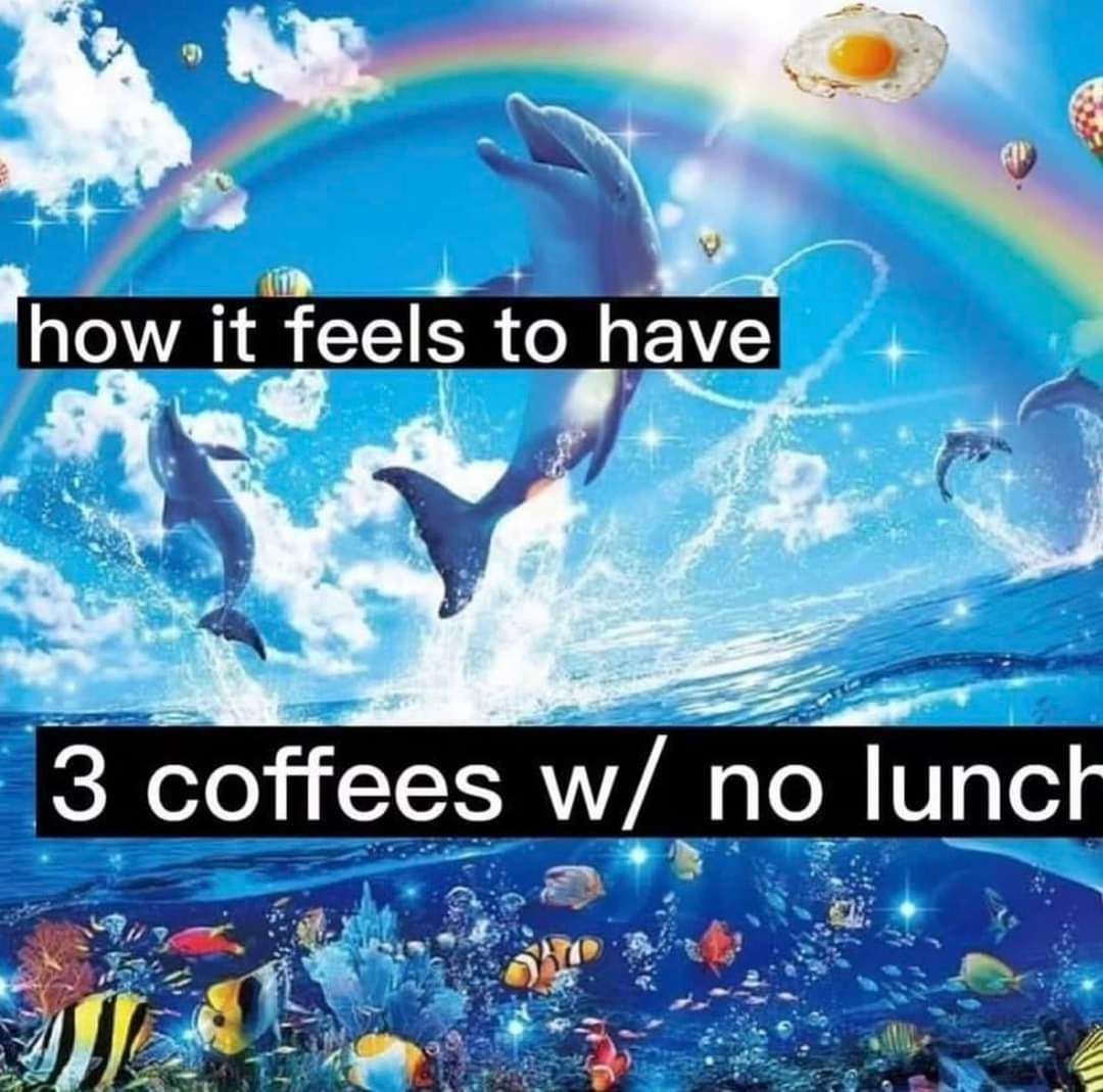 Rainbow dolphin meme feeling hyper after 3 coffees no lunch