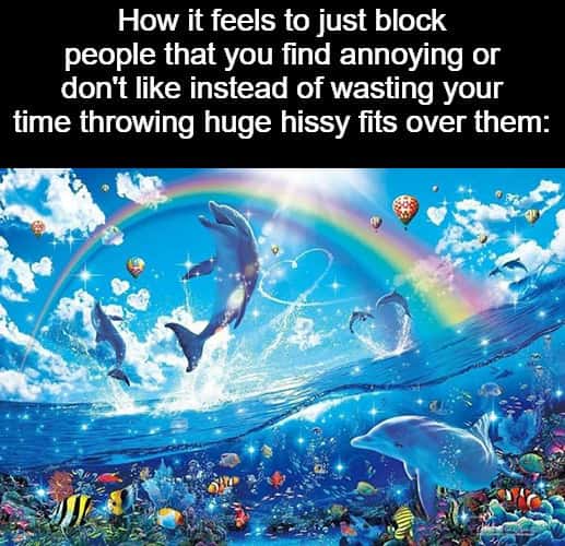 Rainbow dolphin meme block annoying people happily
