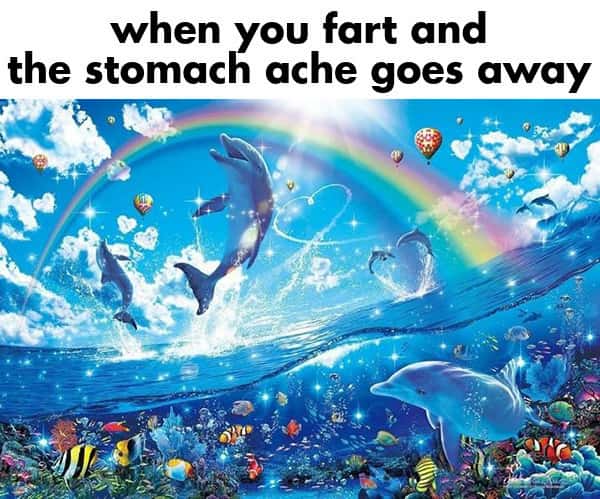 Rainbow dolphin meme fart eases tummy ache