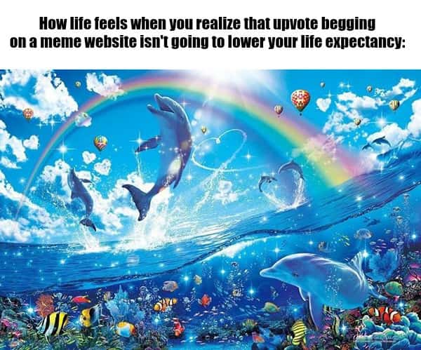 Rainbow dolphin meme feeling relieved realizing upvote begging is harmless