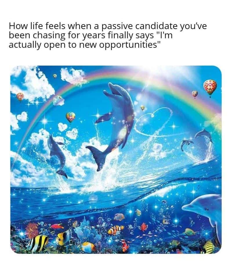 Rainbow dolphin meme overjoyed chasing candidate finally says open to opportunities