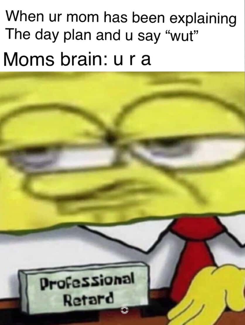 SpongeBob Professional Retard Meme: When ur mom has been explaining The day plan and u say wut SpongeBob Professional Retard Meme: When ur mom has been explaining The day plan and u say wut