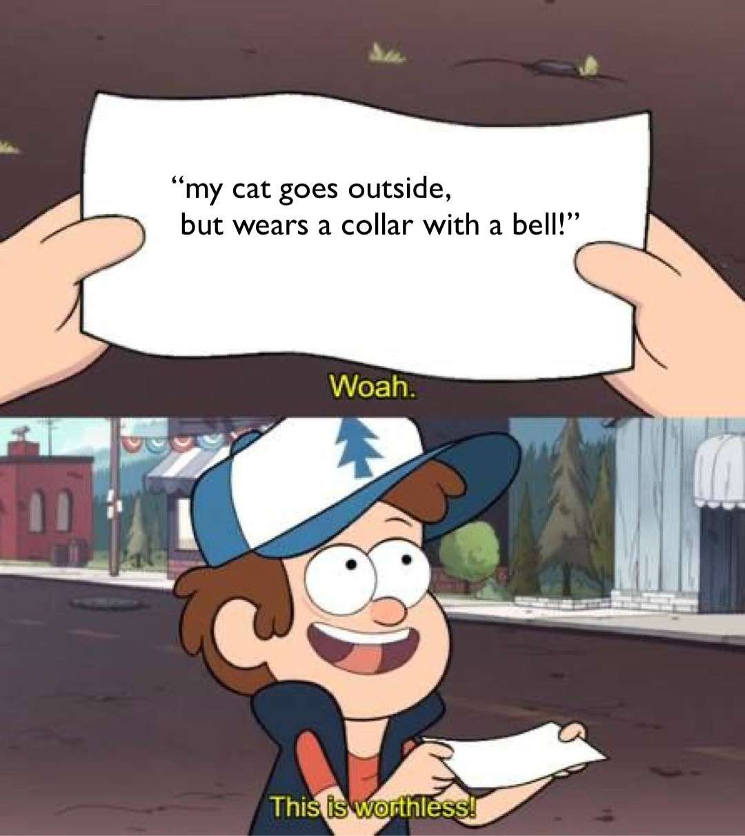 This Is Worthless: My Cat Goes Outside Meme