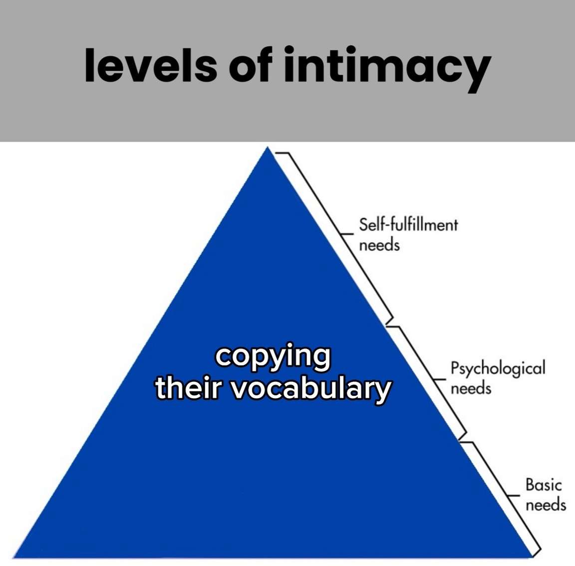 Hierarchy of Needs: Copying Their Vocabulary Levels Of Intimacy Maslow Pyramid Hierarchy of Needs: Copying Their Vocabulary Levels Of Intimacy Maslow Pyramid