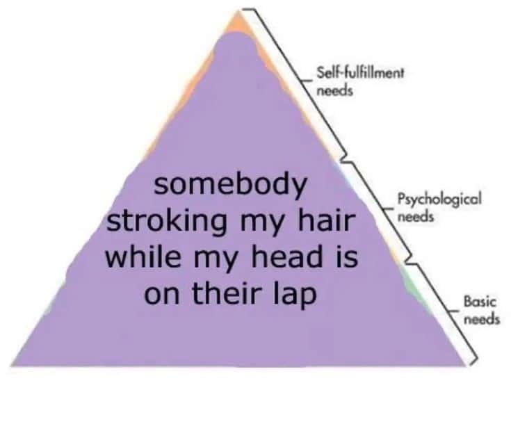 Hierarchy of Needs Meme: Somebody Stroking My Hair Head On Their Lap Maslow Pyramid Hierarchy of Needs Meme: Somebody Stroking My Hair Head On Their Lap Maslow Pyramid