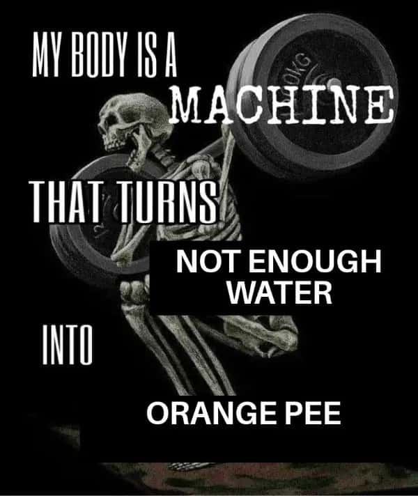My body is a machine meme turns little water into orange pee