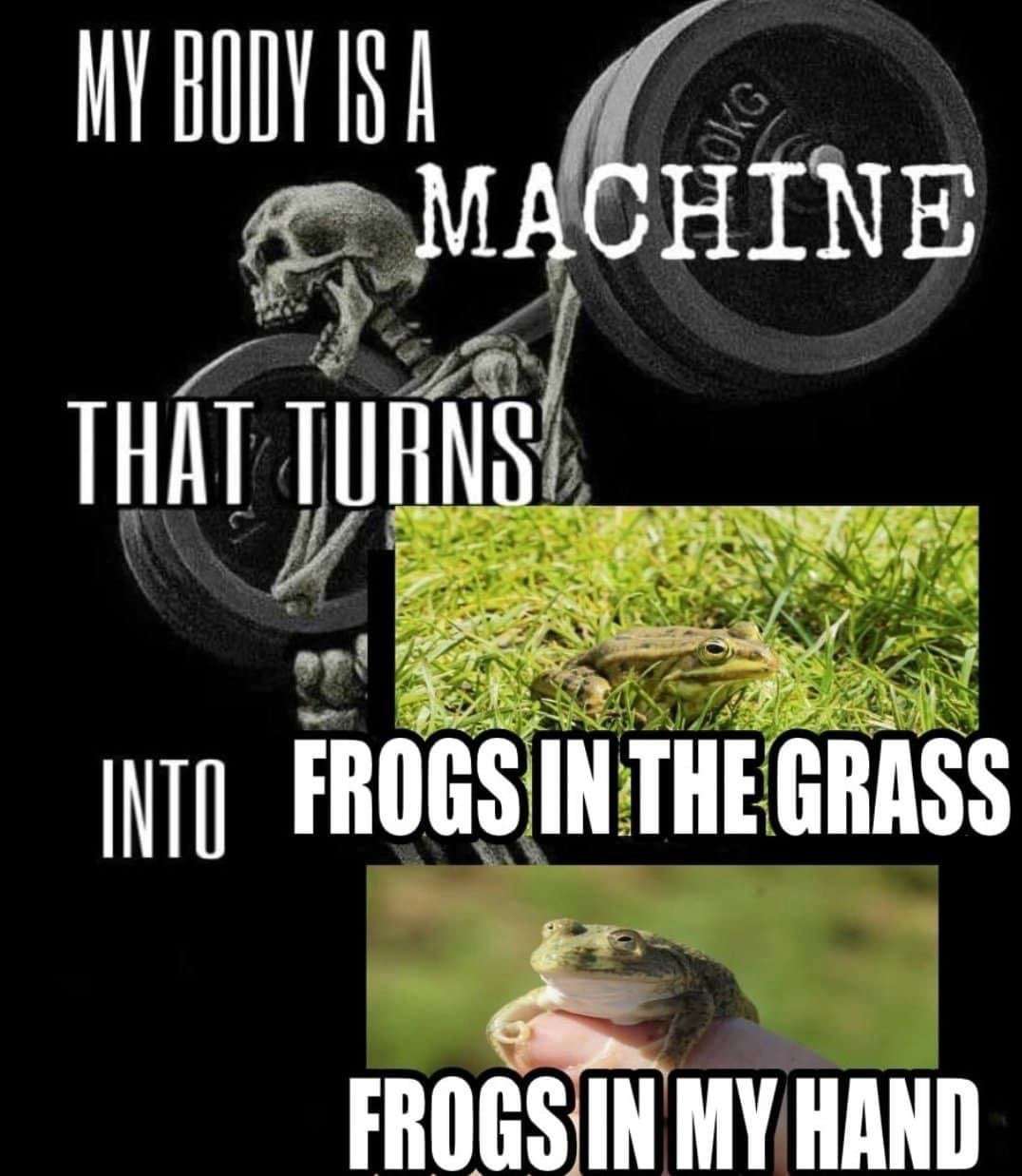 My body is a machine meme catches grass frogs