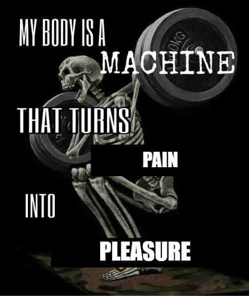 My body is a machine meme lifting weights turns pain to pleasure
