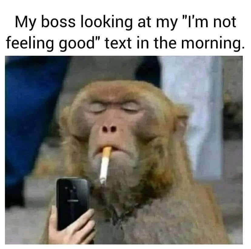 My boss looking at my "I'm not feeling good" text in the morning.