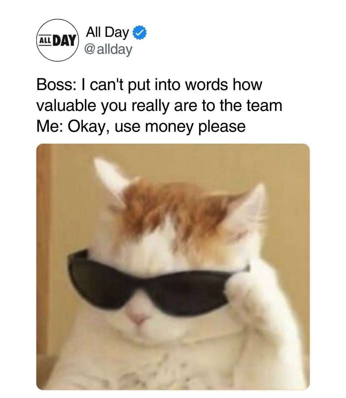 Boss: I can't put into words how valuable you really are to the team / Me: Okay, use money please