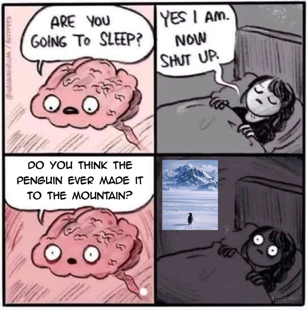 ARE YOU GOING TO SLEEP? / YES I AM. NOW SHUT UP / DO YOU THINK THE PENGUIN EVER MADE IT TO THE MOUNTAIN?