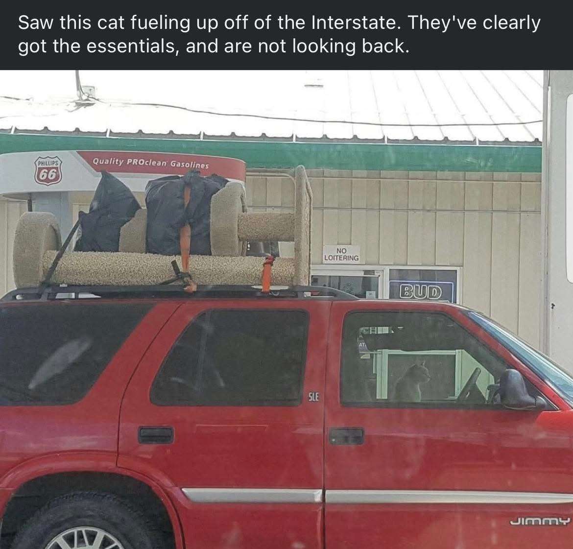 Saw this cat fueling up off of the Interstate. They've clearly got the essentials, and are not looking back.