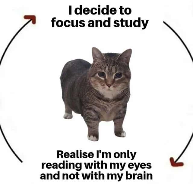 I decide to focus and study / Realise I'm only reading with my eyes and not with my brain