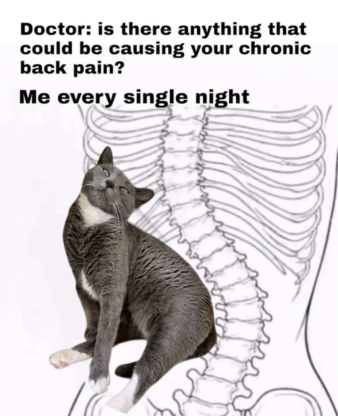 Doctor: is there anything that could be causing your chronic back pain? / Me every single night