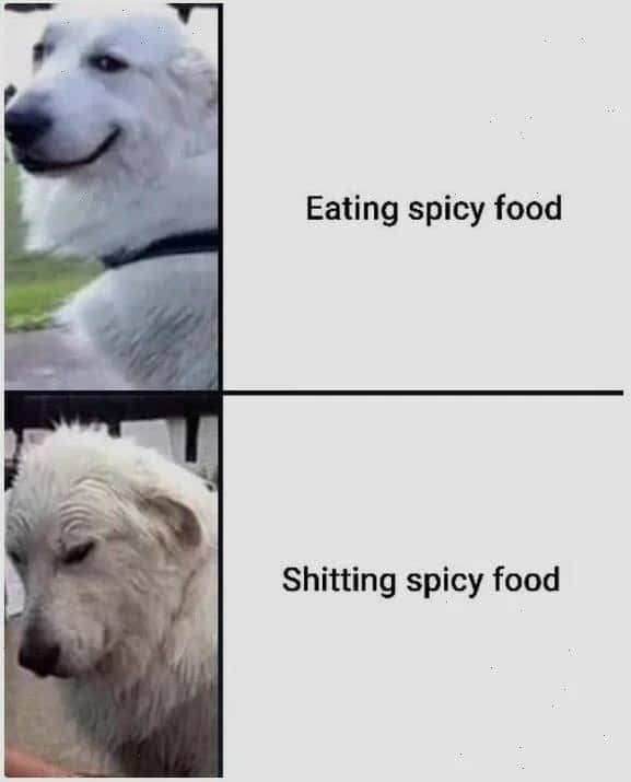 Eating spicy food / Shitting spicy food