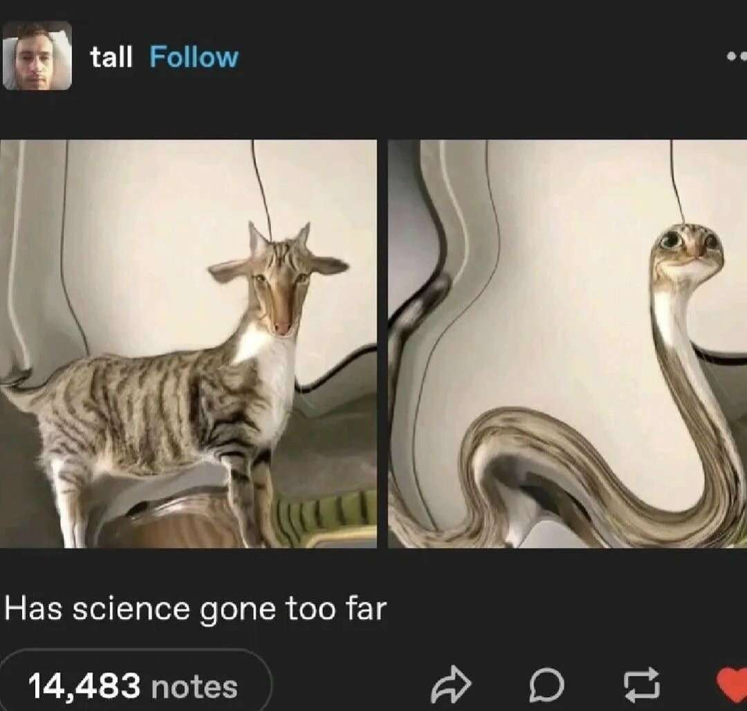 Has science gone too far