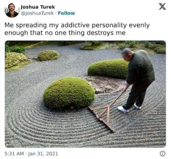 Me spreading my addictive personality evenly enough that no one thing destroys me
