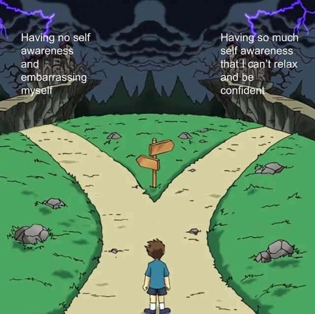 The Two Paths Meme: No Awareness vs Too Much Awareness