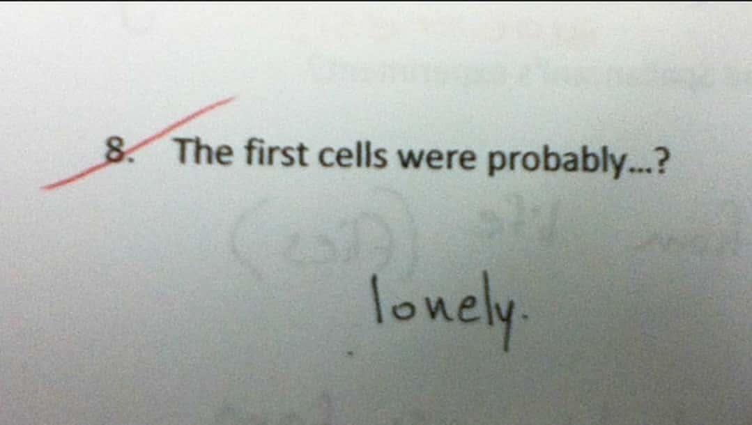 The first cells were probably lonely