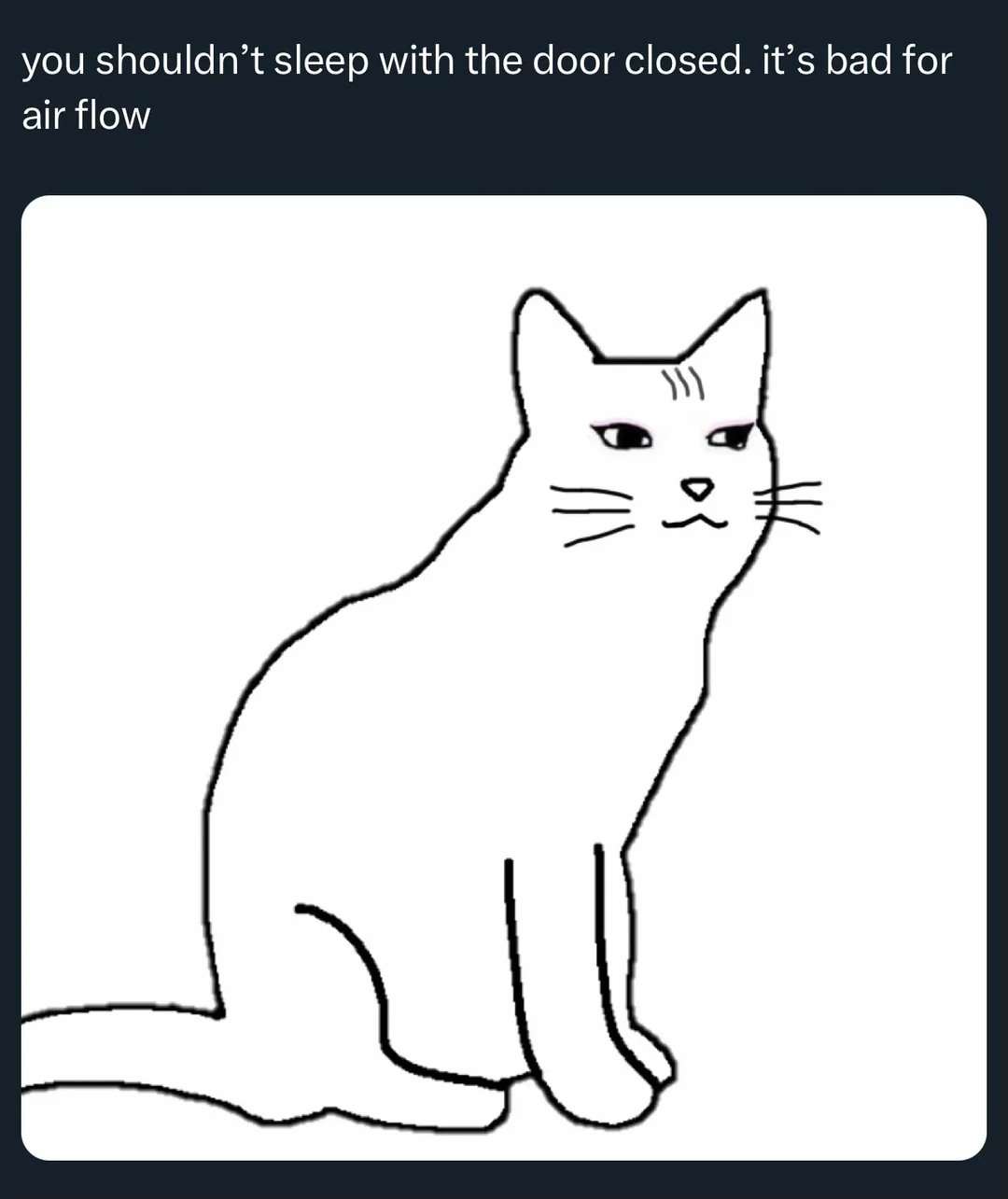 Funny Cat Meme: You shouldn't sleep with the door closed it's bad for air flow