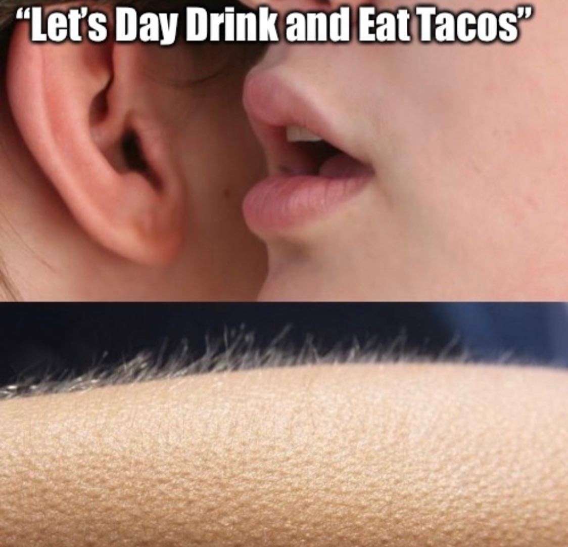 Whisper in Ear Goosebumps: Let's Day Drink Eat Tacos Meme Whisper in Ear Goosebumps: Let's Day Drink Eat Tacos Meme